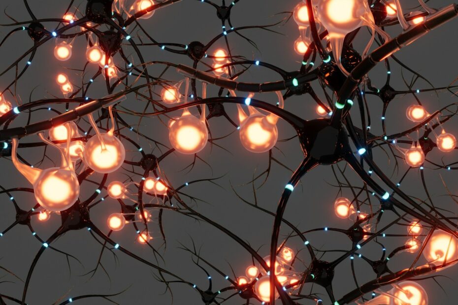 A bunch of lights that are on a tree